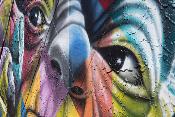 20161108_Wynwood_H5D2757