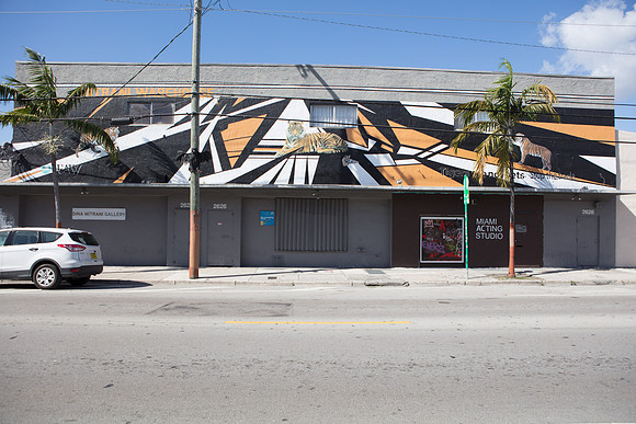 20161108_Wynwood_H5D2741