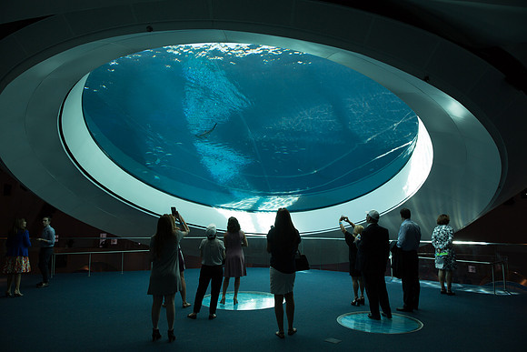 20170508_Science_Museum_9C7C5458