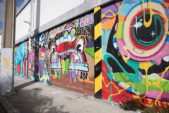 20161108_Wynwood_S5D3147
