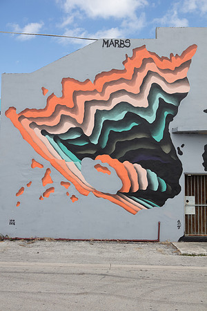 20161108_Wynwood_H5D2953