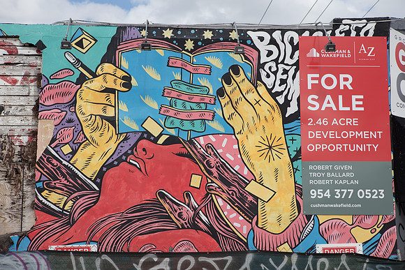 20161108_Wynwood_H5D2973