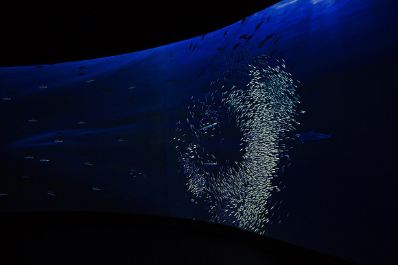 20170508_Science_Museum_9C7C5412