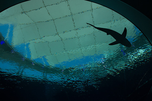 20170508_Science_Museum_9C7C5507