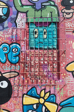 20161108_Wynwood_H5D2805