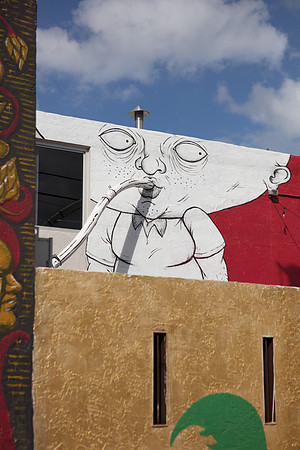 20161108_Wynwood_S5D3064