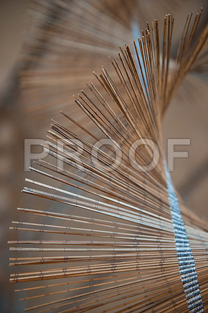 20140821_Leonnor_Antunes_CG3P0857