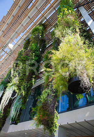 20140801_Pamm_9C7C7886
