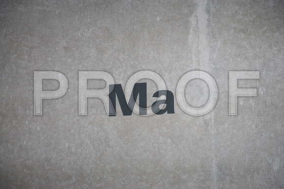 Phase 06