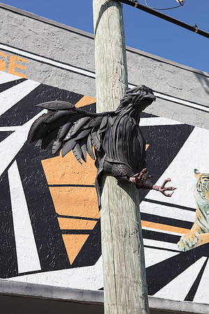 20161108_Wynwood_H5D2746