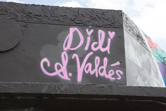 20161108_Wynwood_H5D2982
