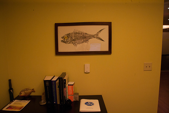 20120607_20040418_Jeff_Blum_Dental_Mount_Sinai_Miami_FL4992