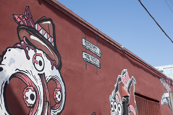 20161108_Wynwood_H5D2825