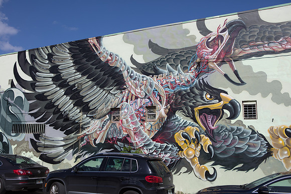 20161108_Wynwood_H5D2861