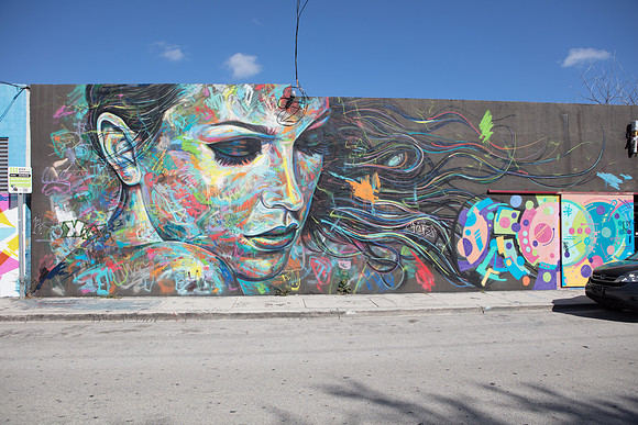 20161108_Wynwood_H5D2676