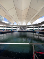 20170110_Science_Museum_S5D5838-Pano