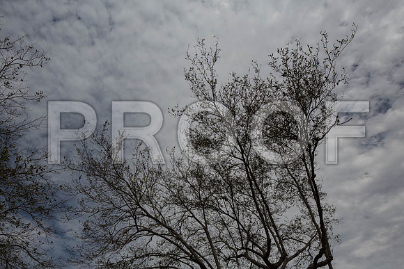 20140228_FIU_Nick_EXB_9C7C1537
