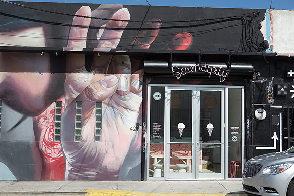 20161108_Wynwood_H5D2852