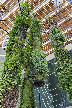 20140801_Pamm_9C7C7869