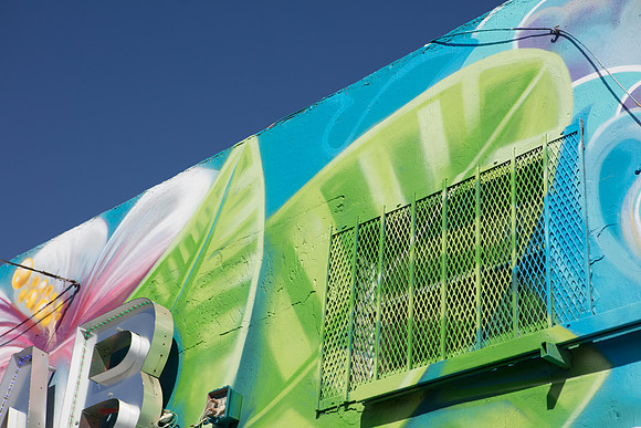 20161108_Wynwood_H5D2706