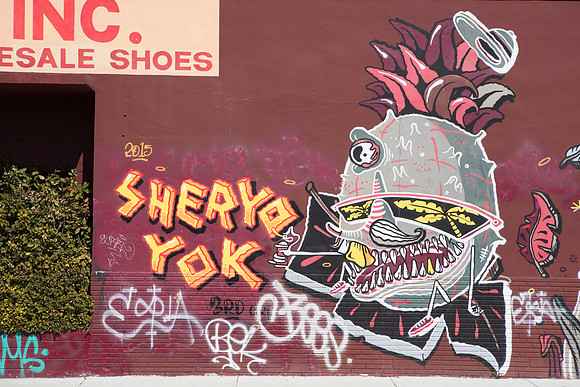 20161108_Wynwood_H5D2835