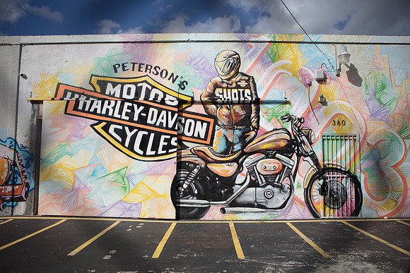 20161108_Wynwood_S5D3221