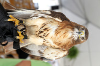 20120224_Scinece_Museum_GroundAL1B8320