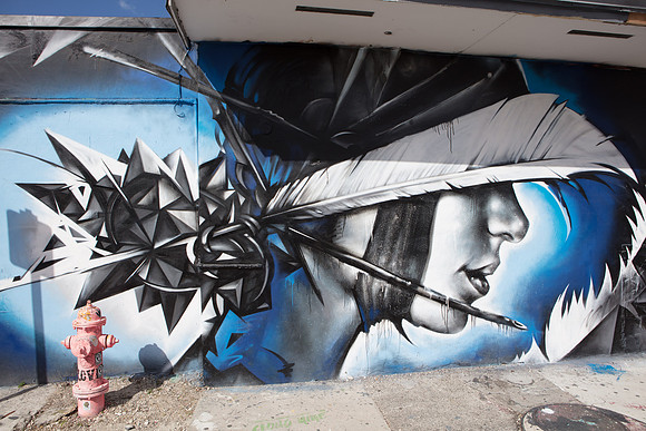 20161108_Wynwood_S5D3002