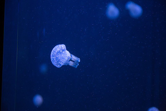 20170508_Science_Museum_9C7C5590