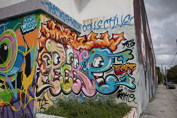 20161108_Wynwood_S5D3151