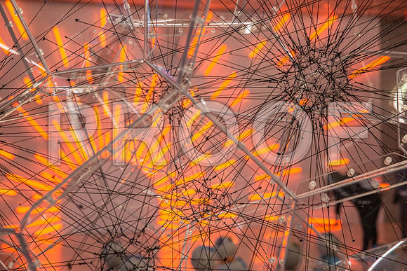 20140821_Pamm_CG3P0977