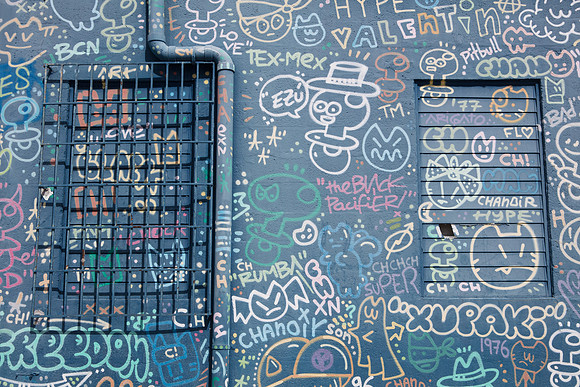 20161108_Wynwood_H5D2802