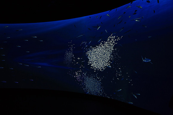 20170508_Science_Museum_9C7C5415