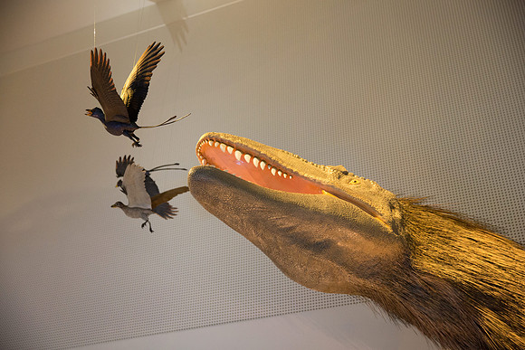 20170508_Science_Museum_9C7C5702