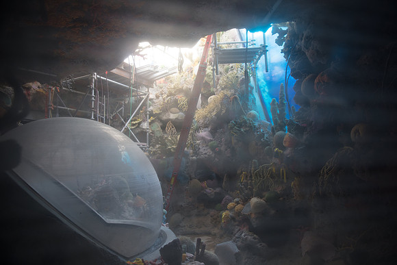 20161102_Science_Museum_075A2735