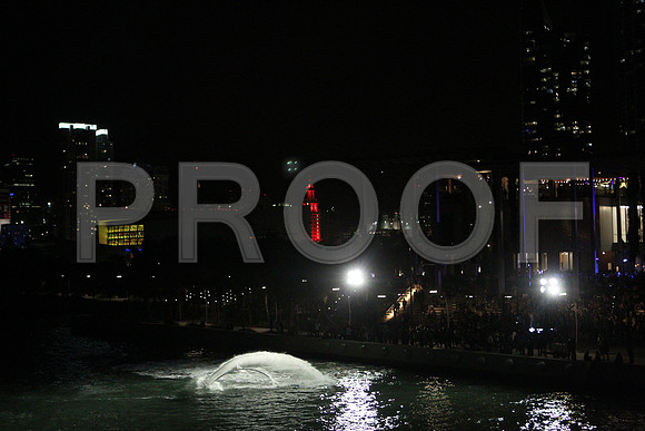 20141204_Pamm_Basel_2014_AL1B6664