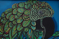 20170519_Wynwood_75A6881