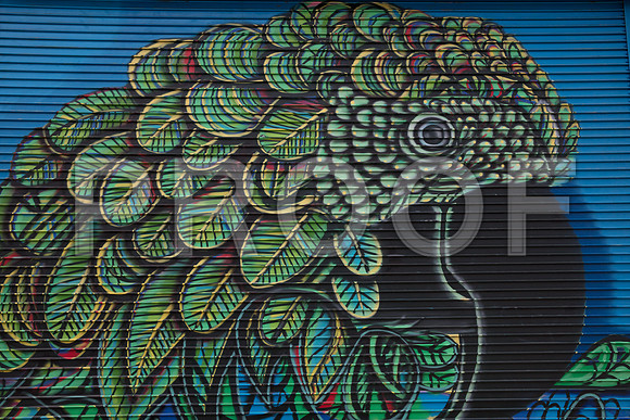 20170519_Wynwood_75A6881