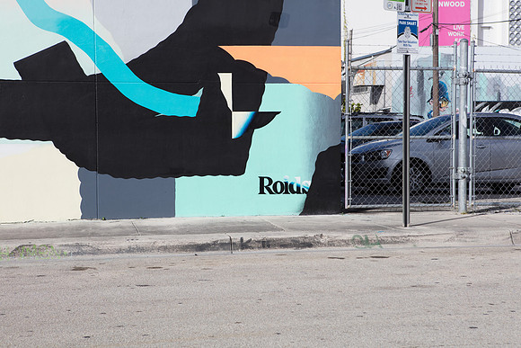 20161130_Wynwood_S5D2621
