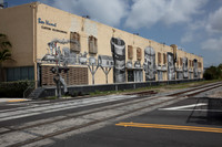 20170519_Wynwood_75A6887