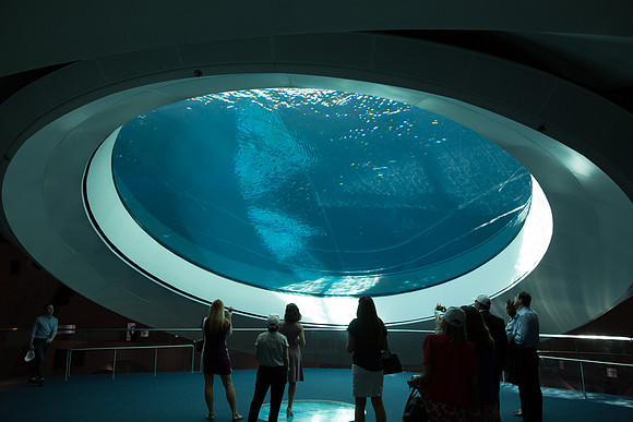 20170508_Science_Museum_9C7C5456