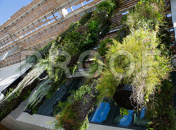 20140801_Pamm_9C7C7884