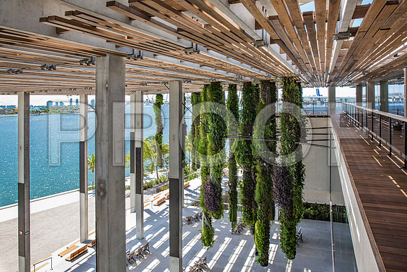 20140801_Pamm_9C7C8028