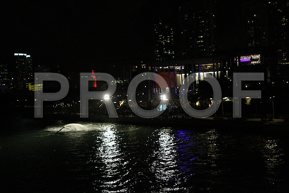 20141204_Pamm_Basel_2014_AL1B6545