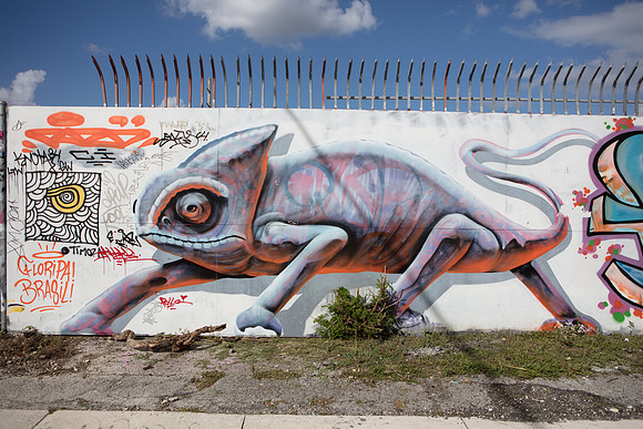 20161108_Wynwood_S5D3047