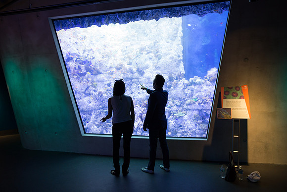 20170508_Science_Museum_9C7C5398