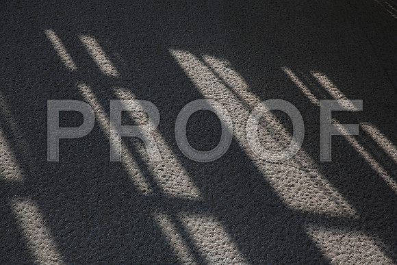 20140801_Pamm_9C7C7893