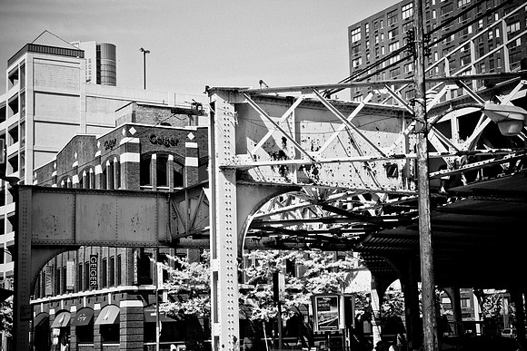 0015_DG_Chicago_USA_2009_5L8Y2246