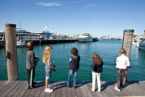 IMG_3234