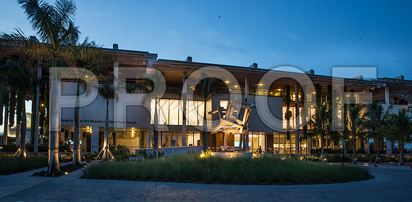 20140821_Pamm_CG3P1034